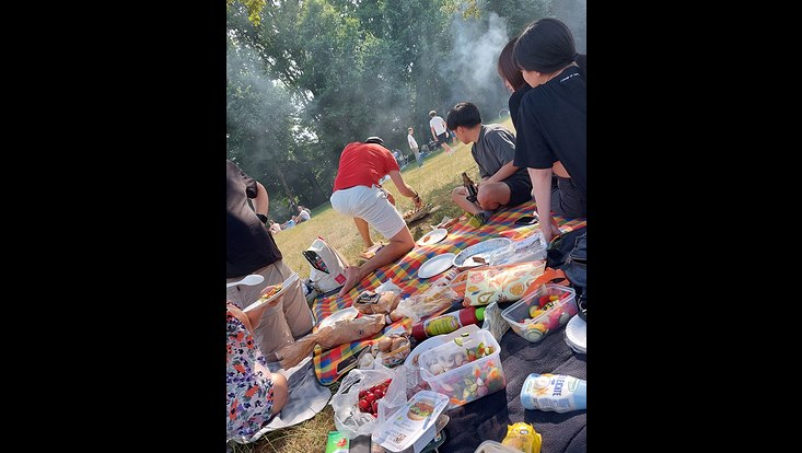 20230618-164238-733x414 Picknick im Stadtpark
