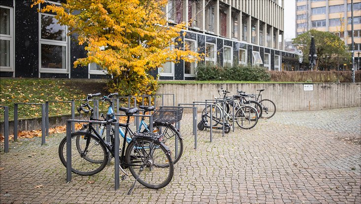 Fahrrad-Aufsteller auf dem Hauptcampus