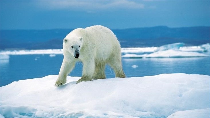 climate