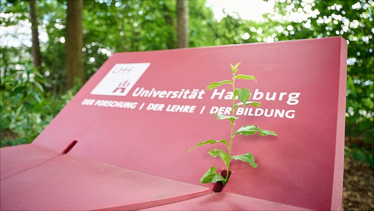 Auf einem roten Hintergrund steht UHH und daneben kommt eine grüne Pflanze raus
