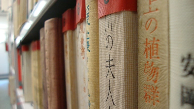 Japanische Buchrücken
