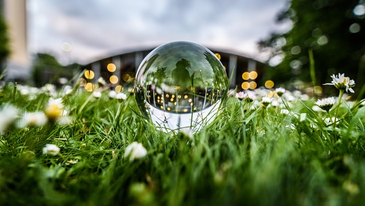 Glaskugel im Gras