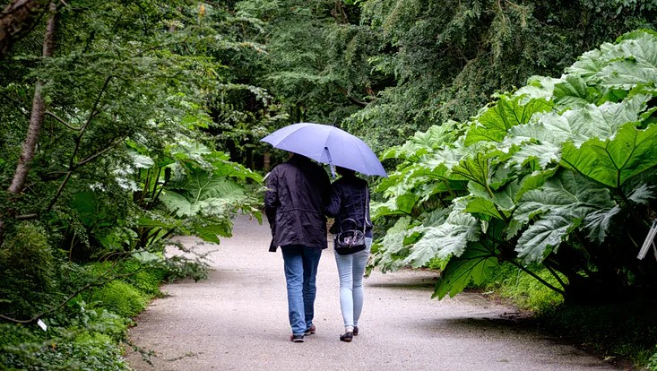 paar spaziert durch botanischen garten