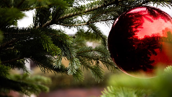 ein Weihnachtsbaum, an dem eine rote Weihnachtskugel hängt