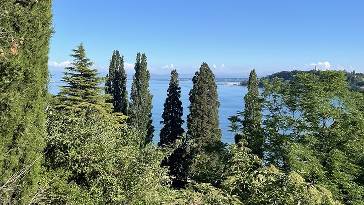 lakeview through trees