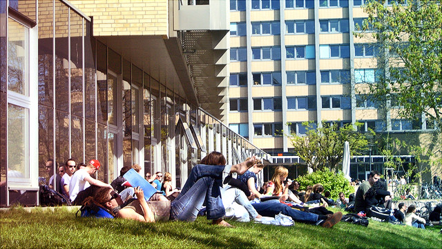 Studierende auf der Wiese