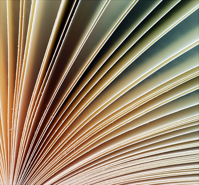 Wissenschaftliche Arbeiten