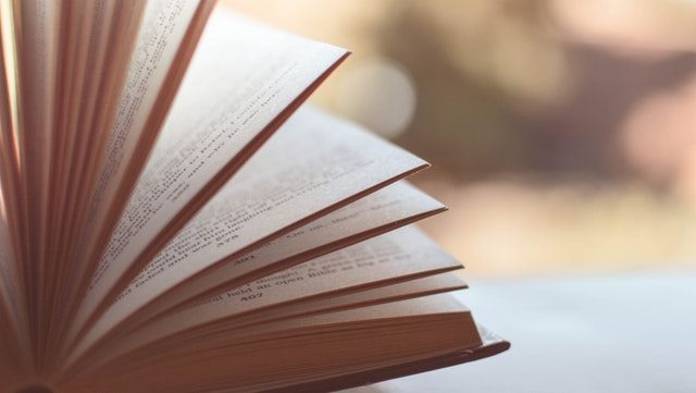 Halbgeöffnetes Buch/Half open book