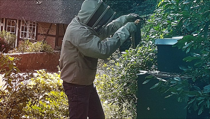 Imker im Botanischen Garten