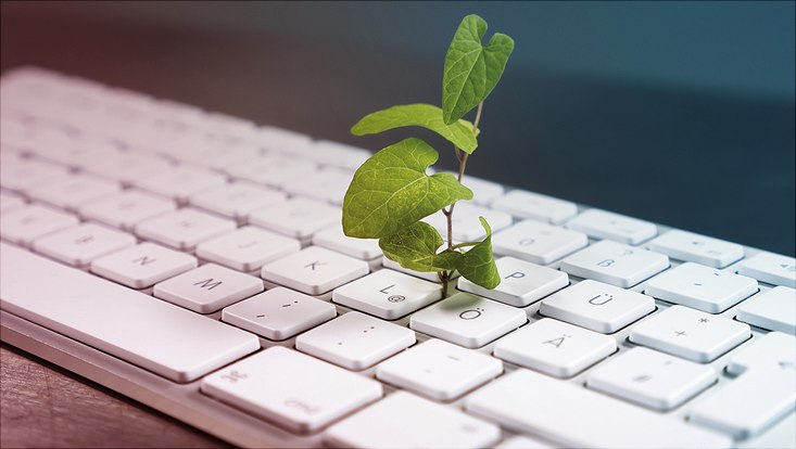 Computertastatur mit Sprößling