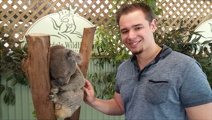 Steffen male student posing with a koala