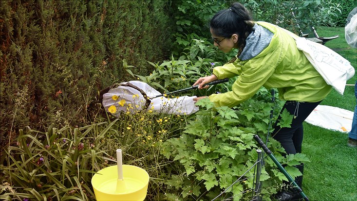 Wissenschaftlerin bei der Exkursion in die Steenkampsiedlung