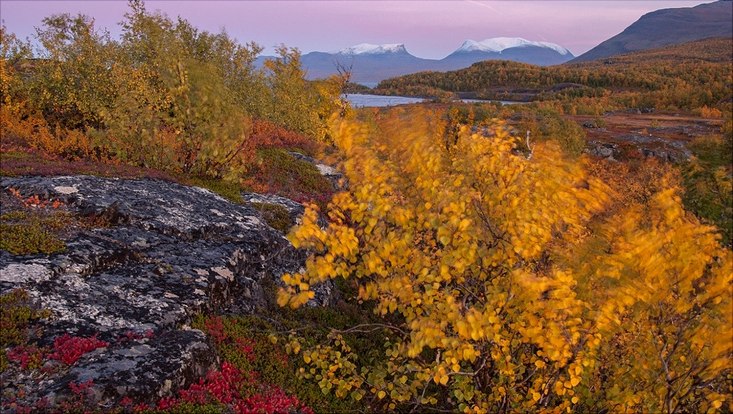 Landschaft mit Permafrost in der Arktis