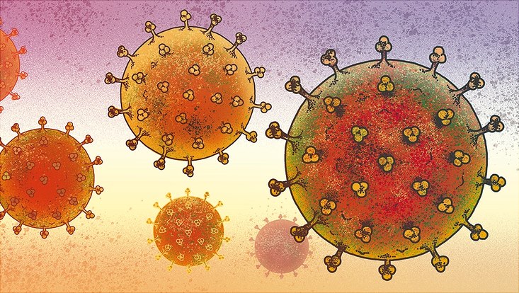Auch in Hamburg wird intensiv zum Coronavirus geforscht