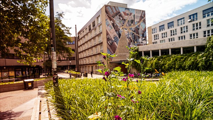 Research Training Group : Hamburg Center for Health Economics : Universität  Hamburg