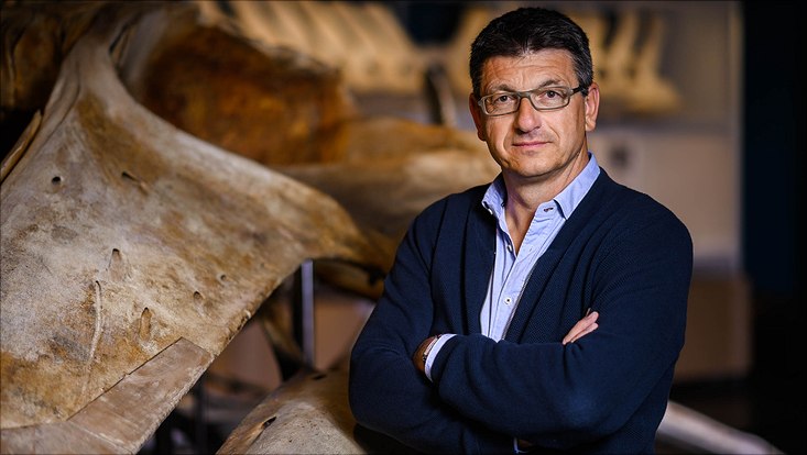 Portrait Prof. Glaubrecht
