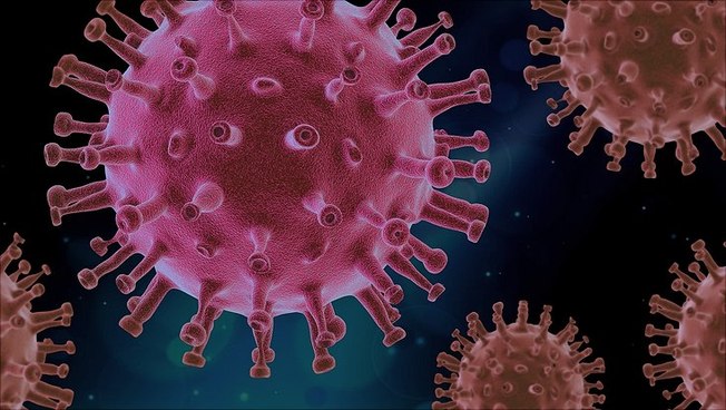 Symbolic representation of the coronavirus