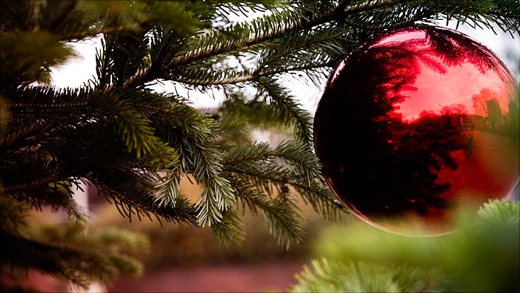 Nahaufnahmen von Weihnachtsbaum mit roter Kugel
