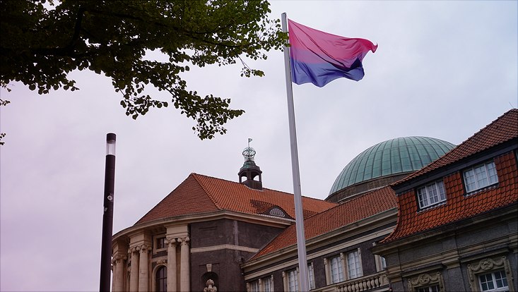 Bild mit Bi-Flagge vor dem Uni-Hauptgebäude