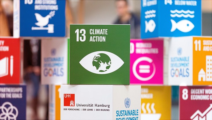 Ansicht verschiedener bunter Würfel mit den SDGs, im Vordergrund Würfel mit Aufschrift SDG 13