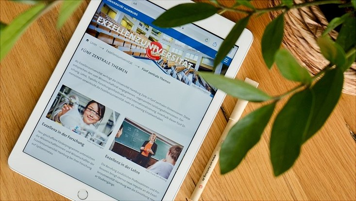 Grüne Pflanze und Tablet mit aufgerufenem Portal