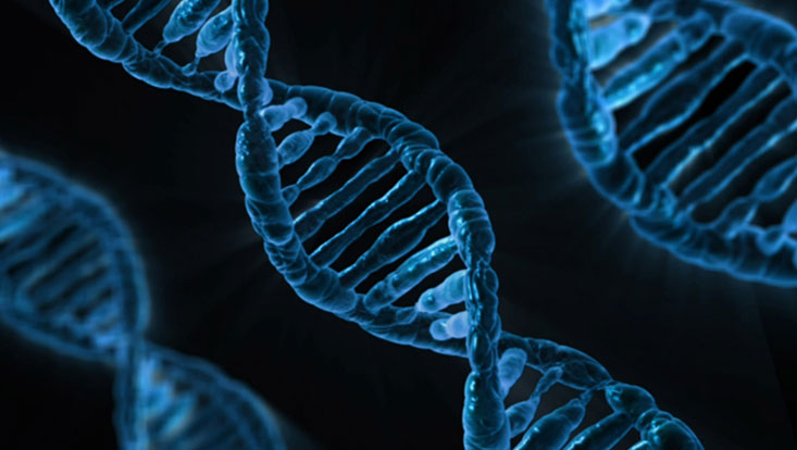 DNA