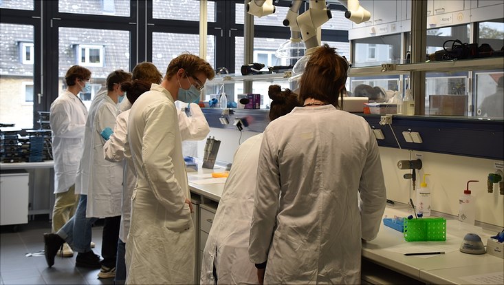 Schülerinnen und Schüler im Schullabor