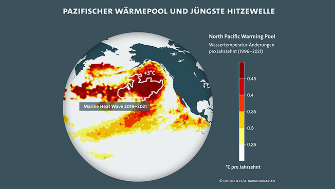 Das Bild zeigt den Anstieg der Wassertemperatur im nordöstlichen Pazifischen Ozean von 1996 bis 2021 (Pacfic warming pool). Die Messwerte sind in Grad Celsius Anstieg pro Dekade angegeben. Der weiße Umriss steht für die marine Hitzewelle 2019-2021, die auf dem Gebiet des "Warming Pools" liegt.