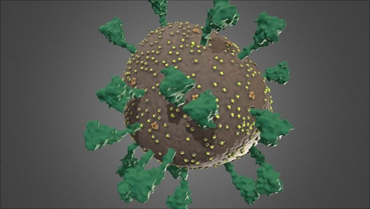 Screenshot 3D-Darstellung Coronavirus