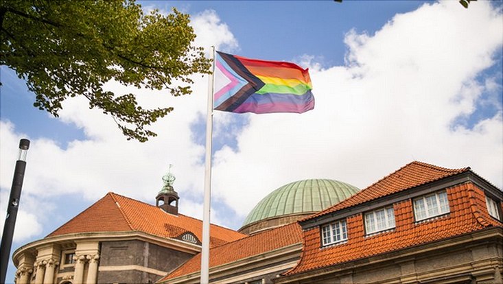 Progression Flag