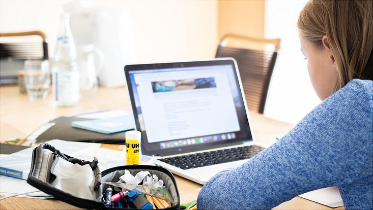 Girl working on computer at home