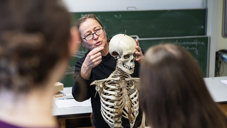 PD Dr. Eilin Jopp-van Well erklärt am Schädel des Schulskeletts den Schülerinnen und Schülern erkennbare Merkmale.