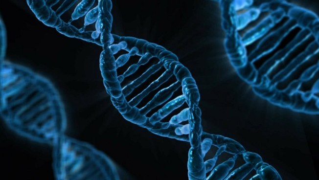 Symbolbild einer DNA