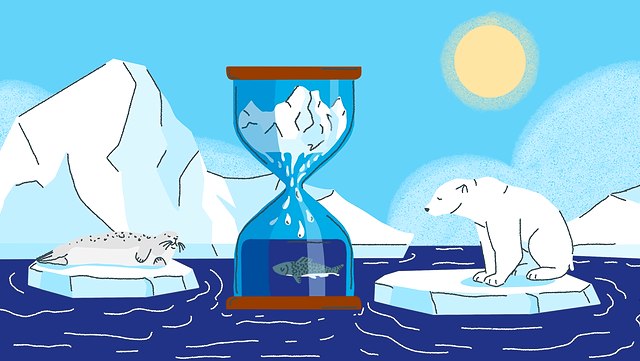 Kinder-Uni: Wie erforscht man Eis? Links ist eine Robbe und rechts ein Eisbär jeweils auf einer Eisscholle abgebildet. In der Mitte schwimmt eine Sanduhr, in der Eis schmilzt und runterläuft. Im unteren Teil schwimmt ein Fisch im Schmelzwasser. Im Hintergrund sind Eisberge abgebildet