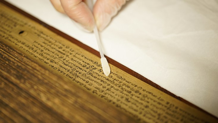 Untersuchung Palmblattmanuskript