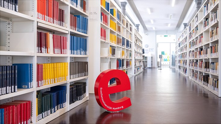 Exzellenz E in Bibliothek