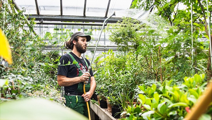 Ein Auszubildender im botanischen Garten