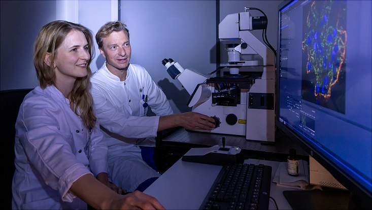 Dr. Felicitas Hengel (l.) und Priv.-Doz. Dr. Nicola Martin Tomas von der III. Medizinischen Klinik und Poliklinik des UKE am Laser-Scanning-Mikroskop.