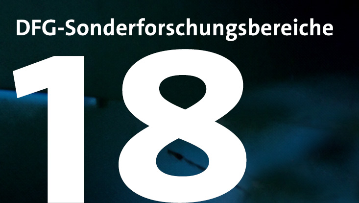 Große Ziffer 18 und der Text "DFG-Sonderforschungsbereiche"