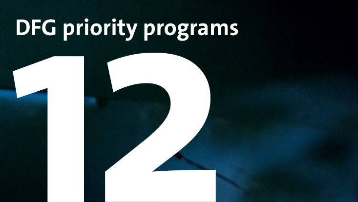 12 DFG Priority Programmes