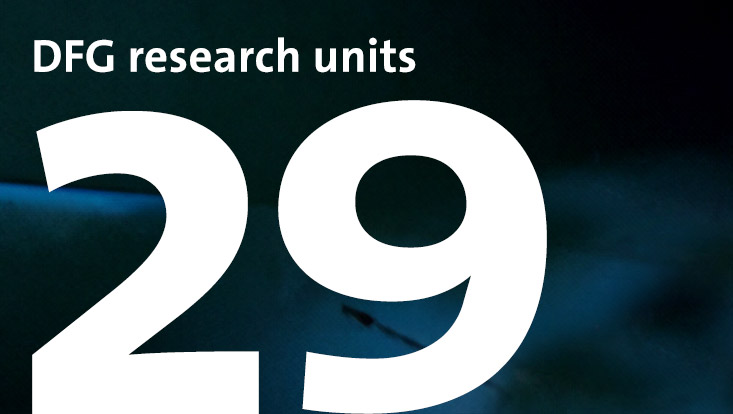 29 DFG research units
