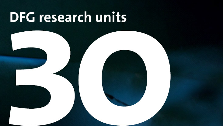 30 DFG research units