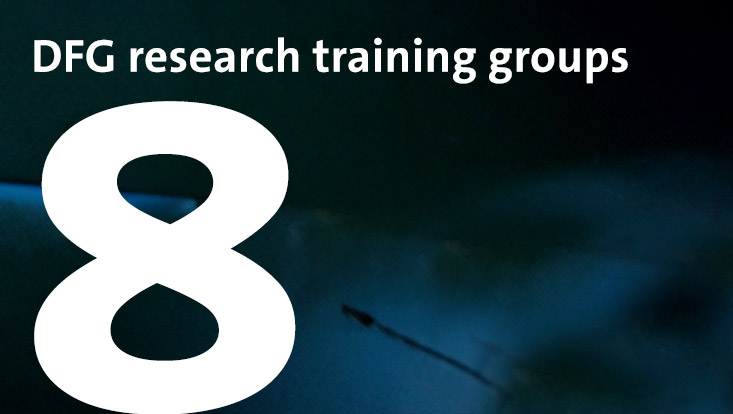 8 DFG research training groups