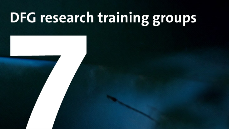 7 DFG research training groups