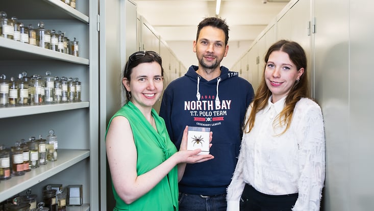 Stephanie Frances Loria, Dr. Danilo Harms, and Svea-Celina Frank