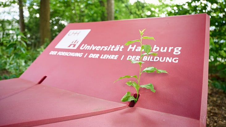 Ein Enzi-Sitzmöbel mit UHH-Logo auf dem Campus Bahrenfeld, das von Pflanzen umgeben ist