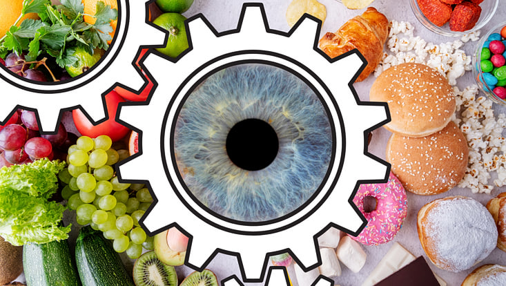 Im Hintergrund ist ein Tisch mit ungesunden und gesunden Lebensmitteln abgebildet. In der Mitte im Vordergrund ist ein Auge, das in einem Zahnrad umkreist wird zu sehen. Die Kombination der Motive soll den Wahrnehmungsmechanismus in der Ernährungsentscheidung darstellen.