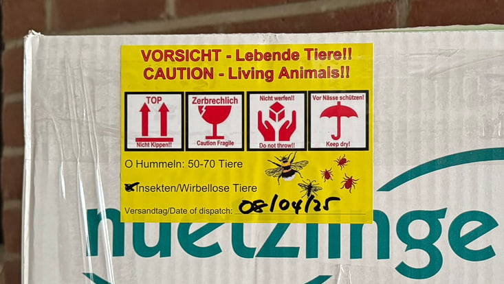 Eine Lieferung mit Nützlingen