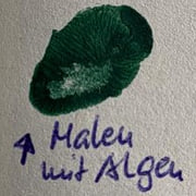 Schriftzug "Malen mit Algen" und darüber ein Klecks in grüner Farbe