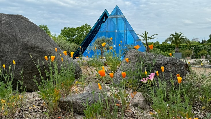 Foto des Wüstengartens mit Pyramide im Botanischen Garten